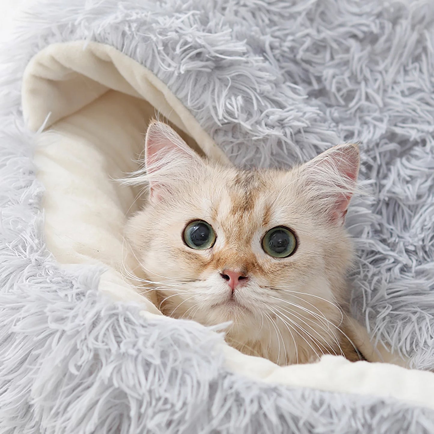 Premium Calming Dog Beds and Cat Cave with Hooded Cover, Removable and Washable Round Design for Small to Medium Pets, Anti-Slip Faux Fur for Enhanced Comfort, Suitable for Pets up to 11 lbs